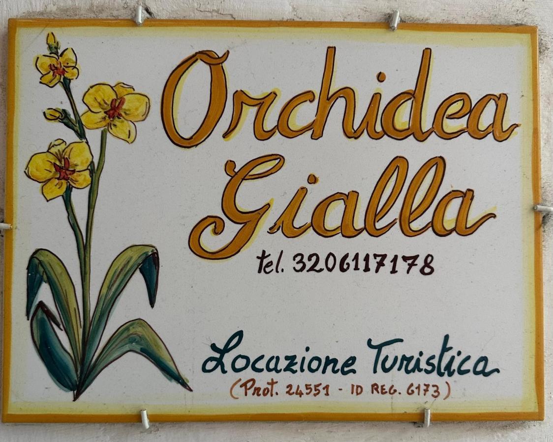 Orchidea Gialla 가에타 외부 사진
