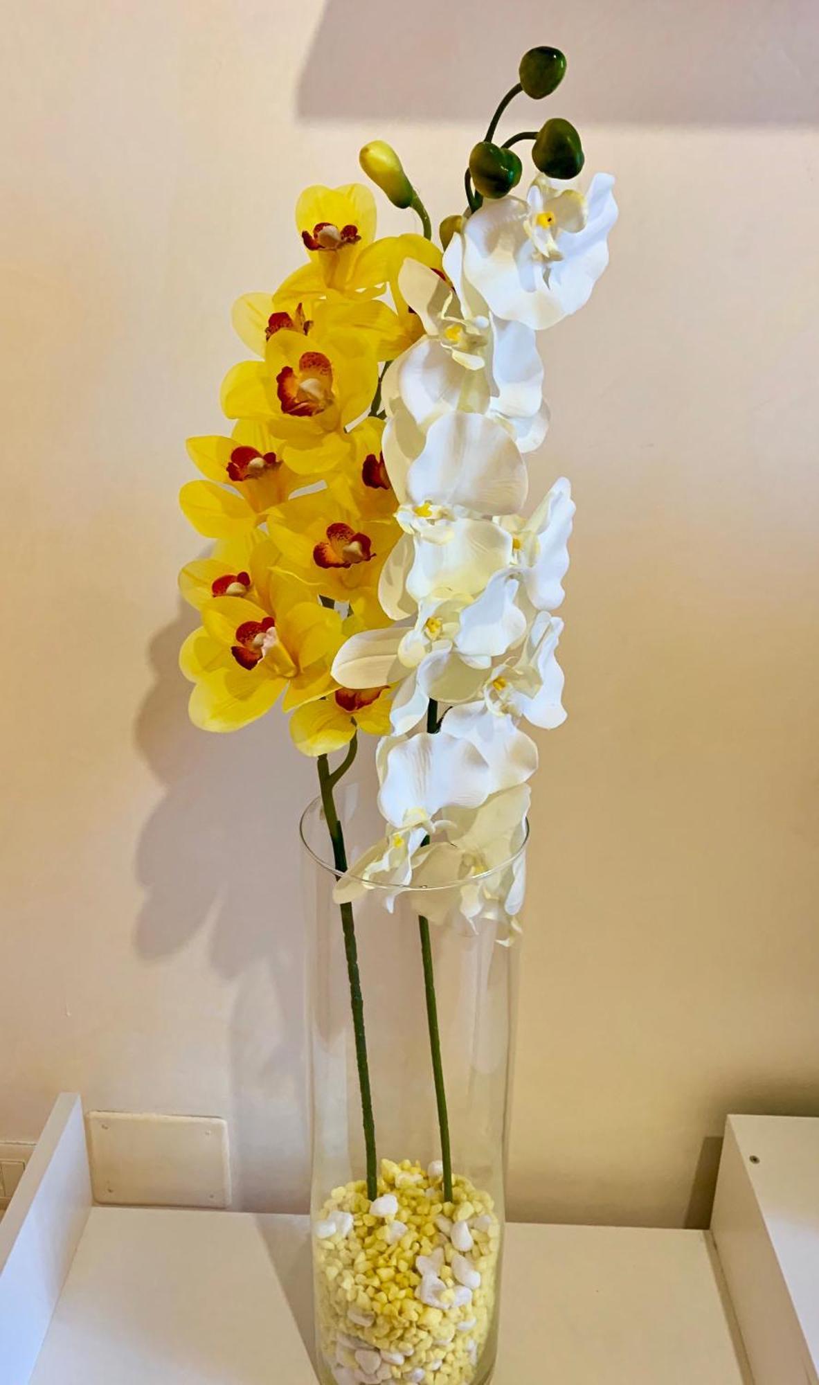 Orchidea Gialla 가에타 외부 사진